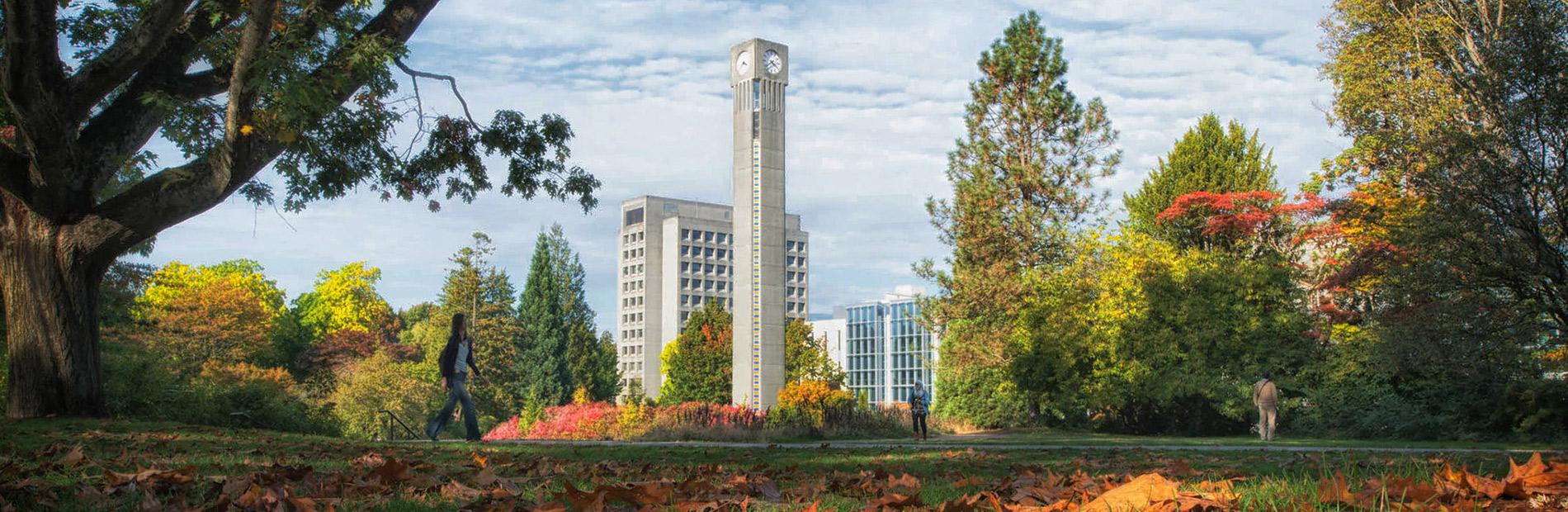 UBC Clock Tower in the autumn with trees on both sides