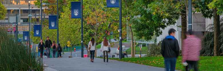 More impacts from the 2023/24 VPS Strategic Initiatives Fund projects